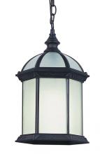  4183 BK - Wentworth 1-Light Atrium Style Outdoor Hanging Pendant